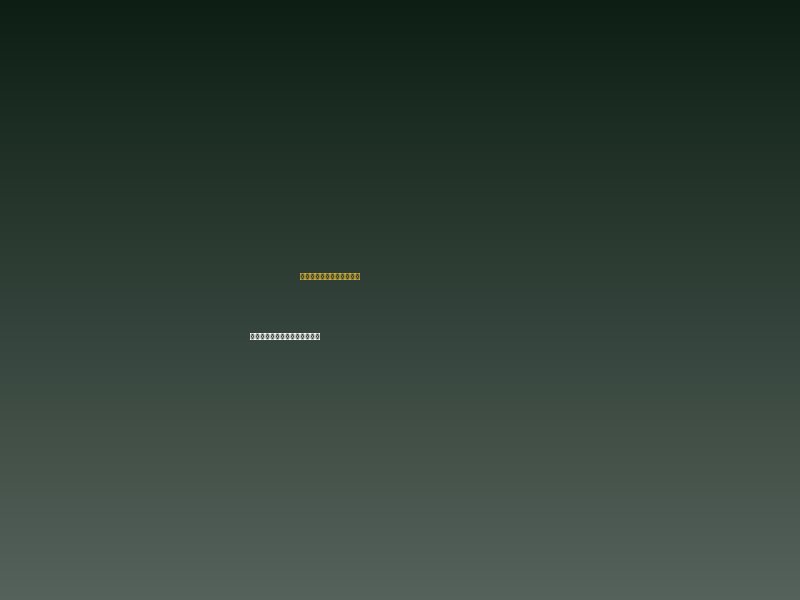 プロフェッショナルチーム